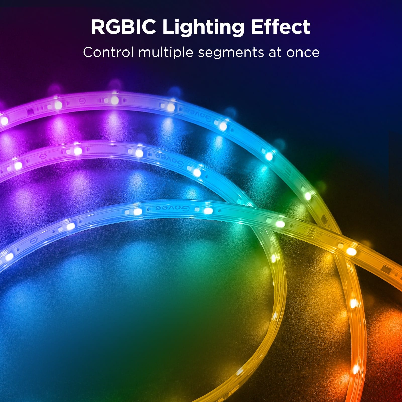 RGBIC Lighting Effect: Control multiple segments at once.
