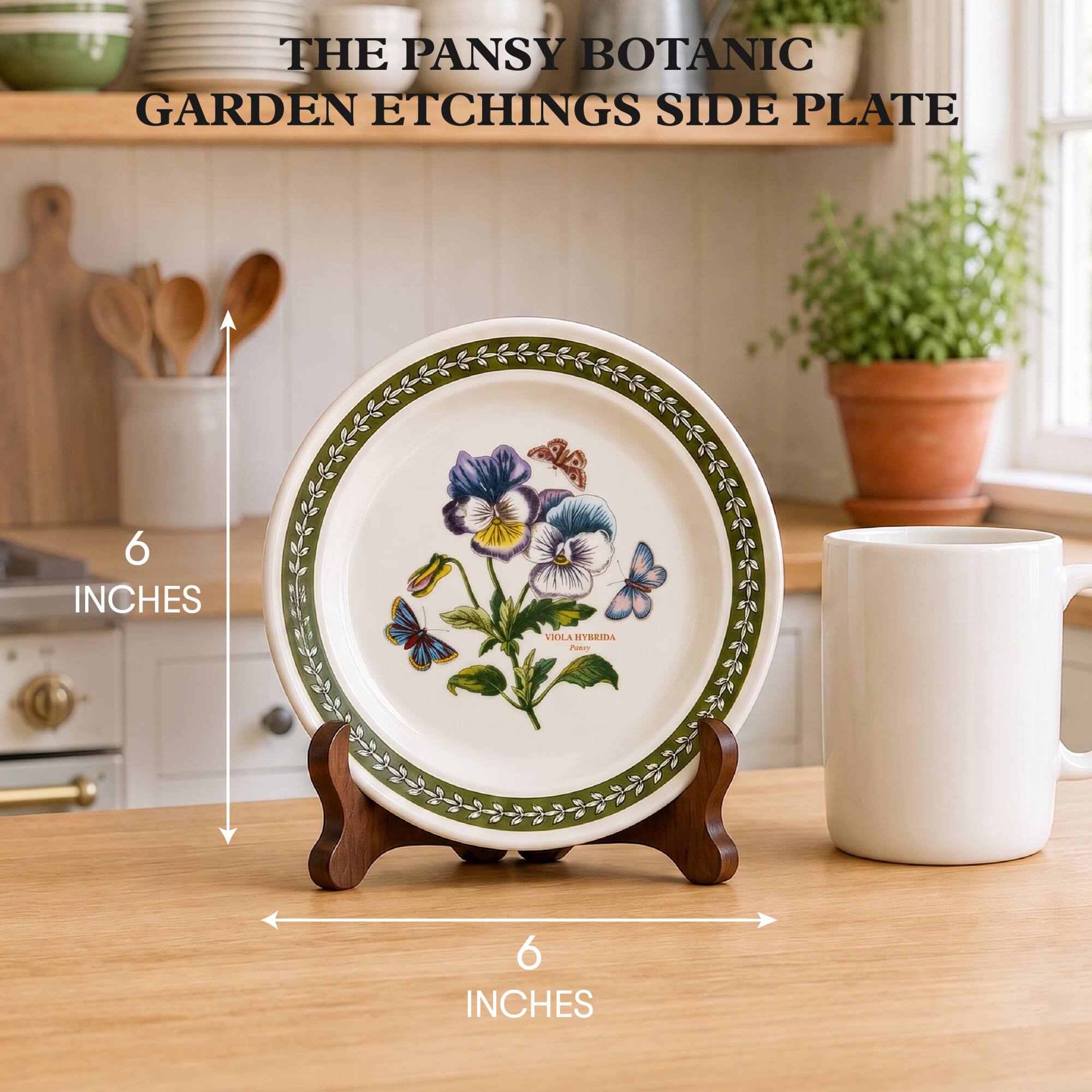 THE PANSY BOTANIC GARDEN ETCHINGS SIDE PLATE

6 INCHES

VIOLA HYBRIDA

6 INCHES