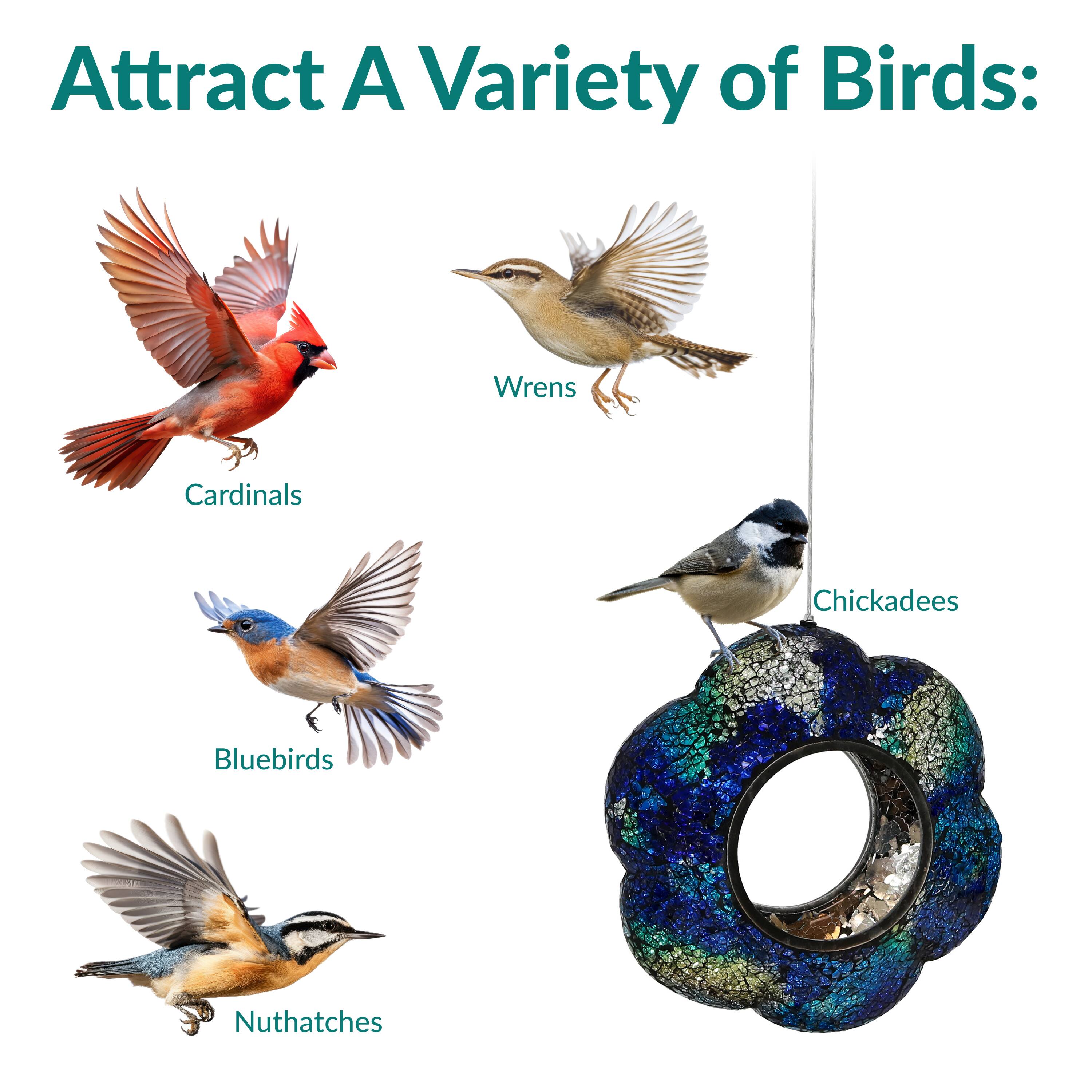 Attract A Variety of Birds:

- Cardinals
- Wrens
- Bluebirds
- Chickadees
- Nuthatches