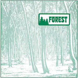 Forest - FOREST - VINYL LP