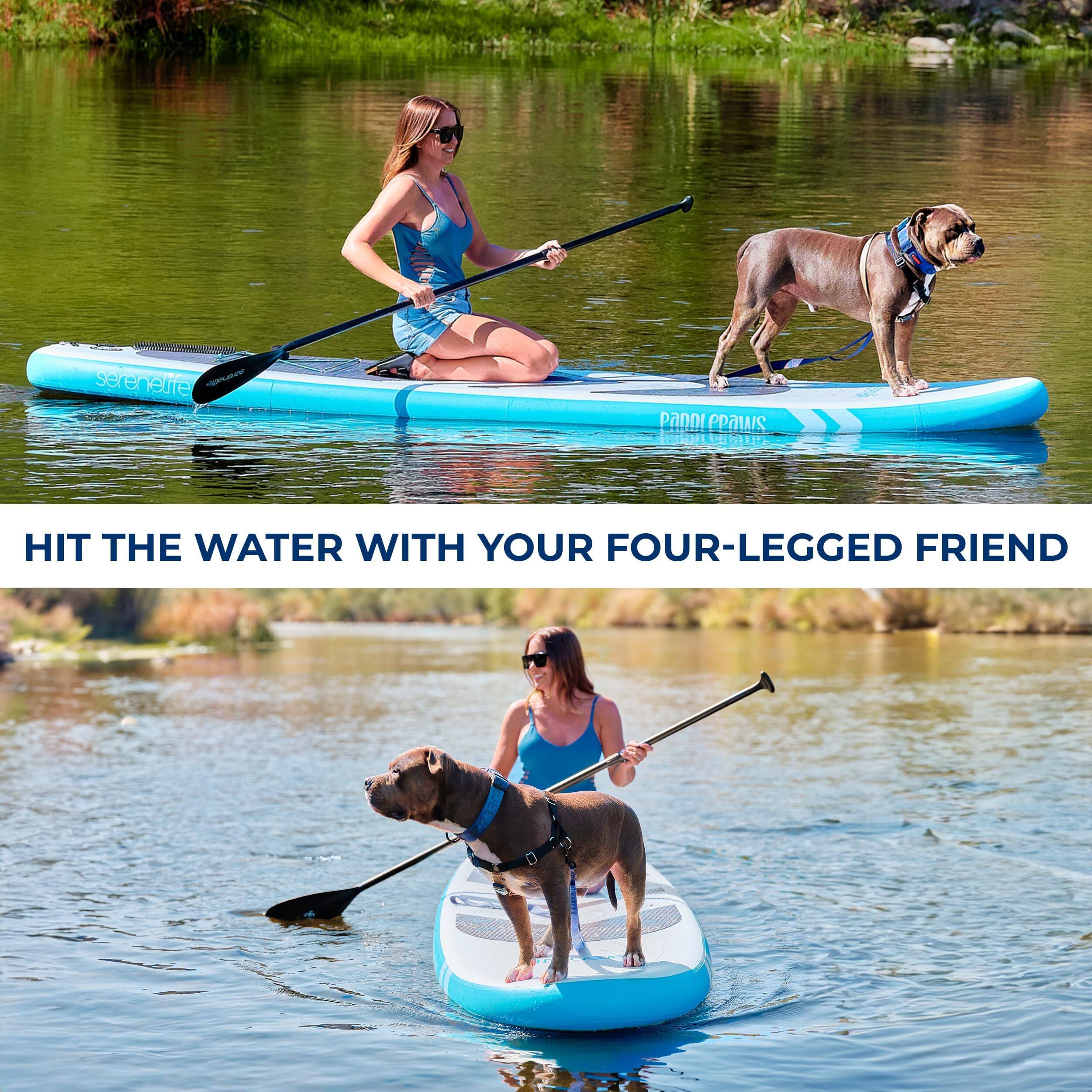 HIT THE WATER WITH YOUR FOUR-LEGGED FRIEND