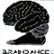 Front Standard. The Braindance Coincidence [CD].