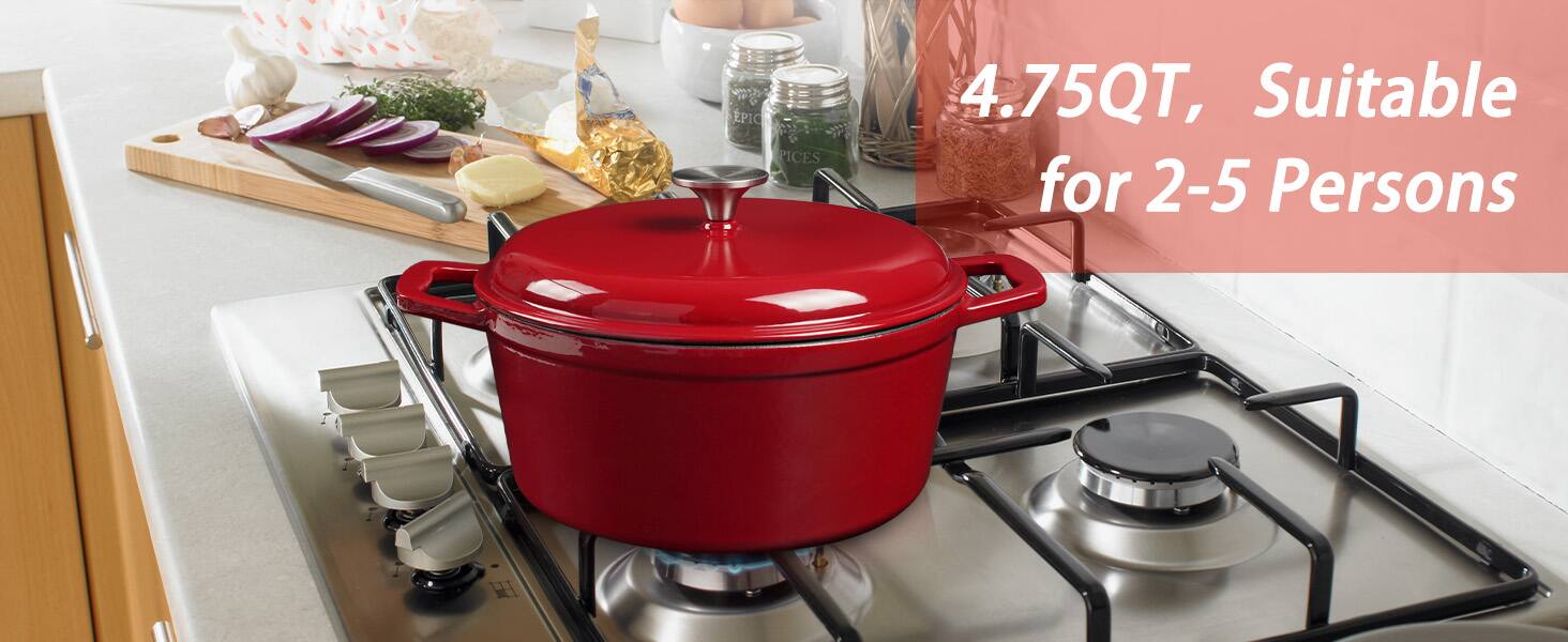 SY EPIC PICES 4.75QT, Suitable for 2-5 Persons