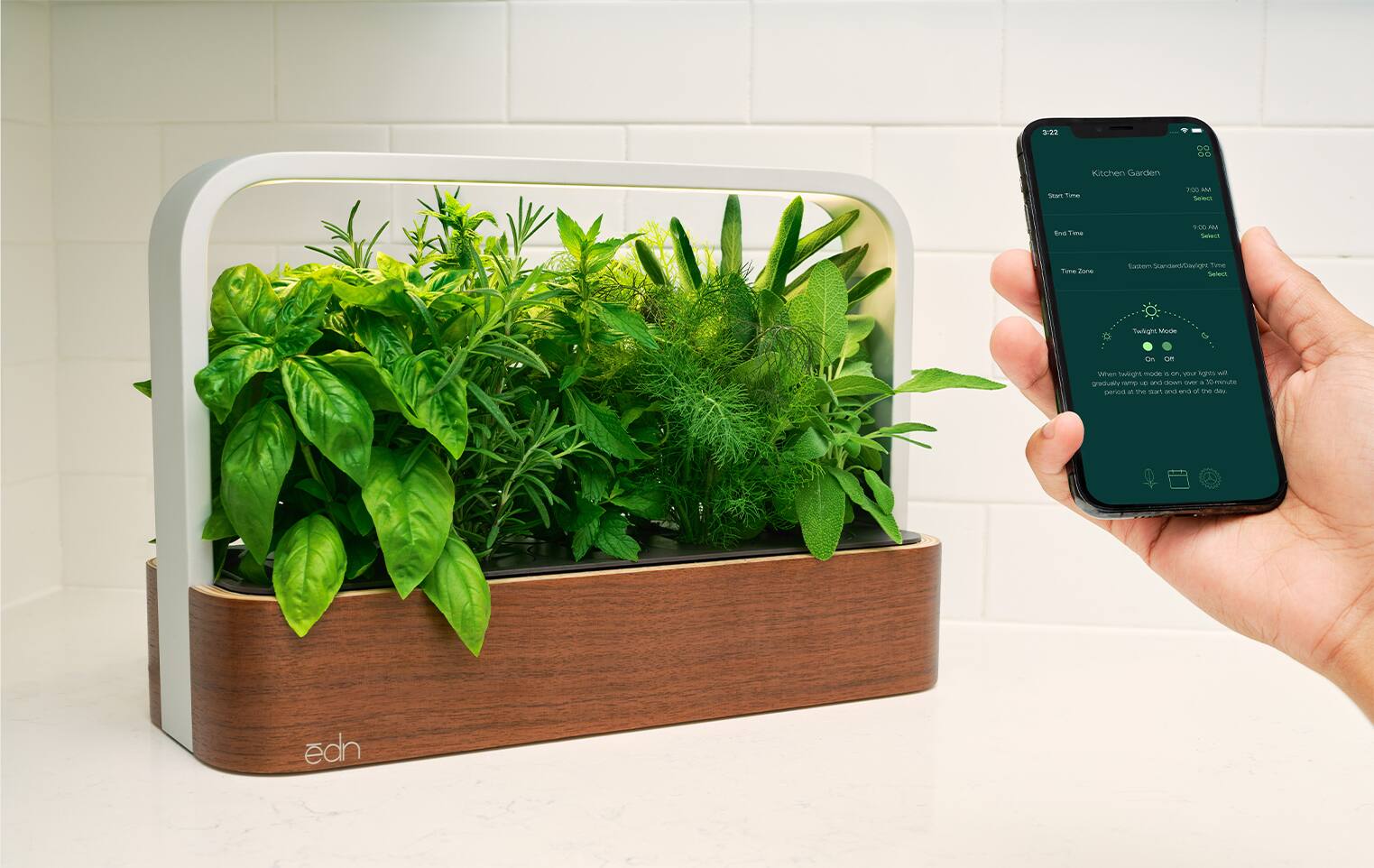 3:22 PM

Kitchen Garden

Start Time: 7:00 AM (Select)
End Time: 9:00 AM (Select)
Time Zone: Eastern Standard/Daylight Time (Select)

Twilight Mode: On

When twilight mode is on, our lights will gradually dim up and down over a 30-minute period before the start and after the end of the 7-hour period.