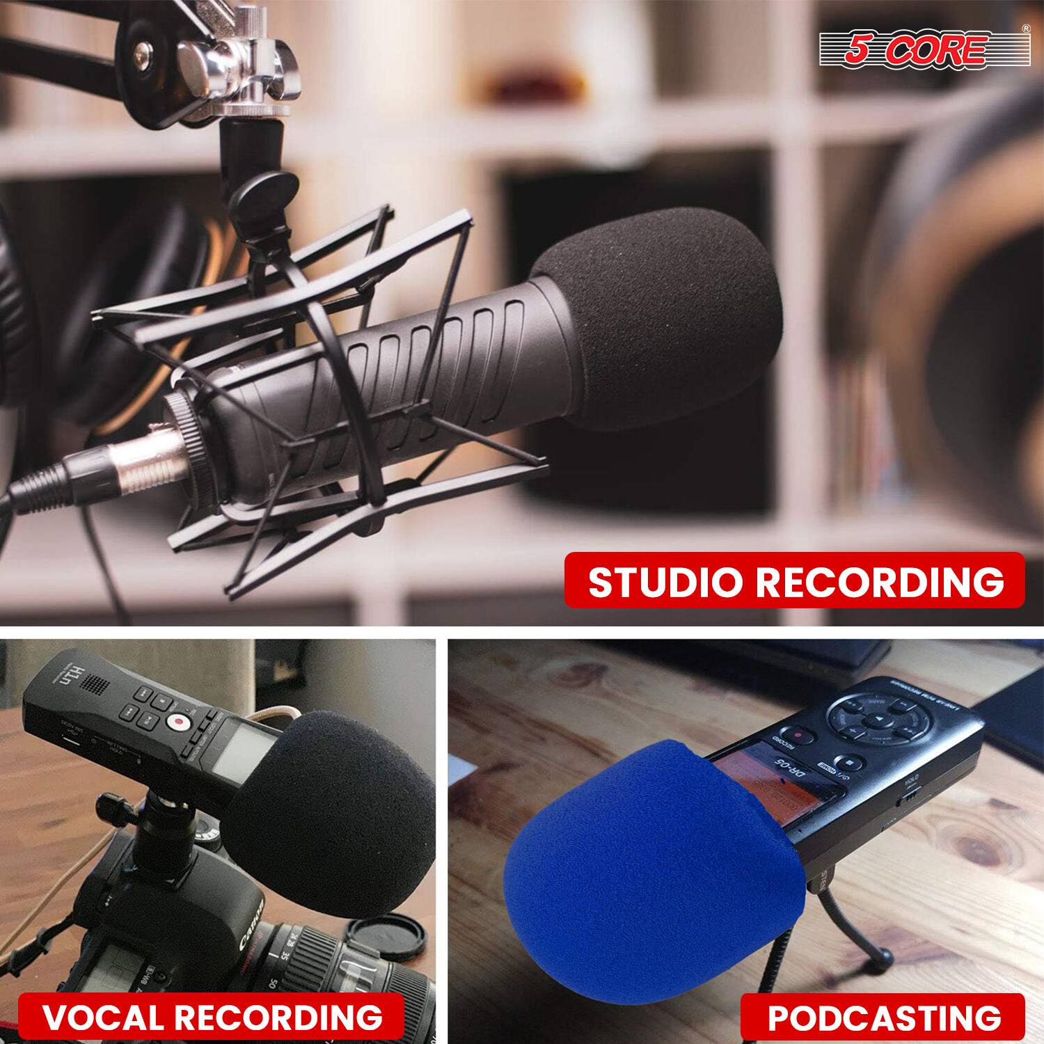 5 CORE STUDIO RECORDING  
VOCAL RECORDING  
PODCASTING