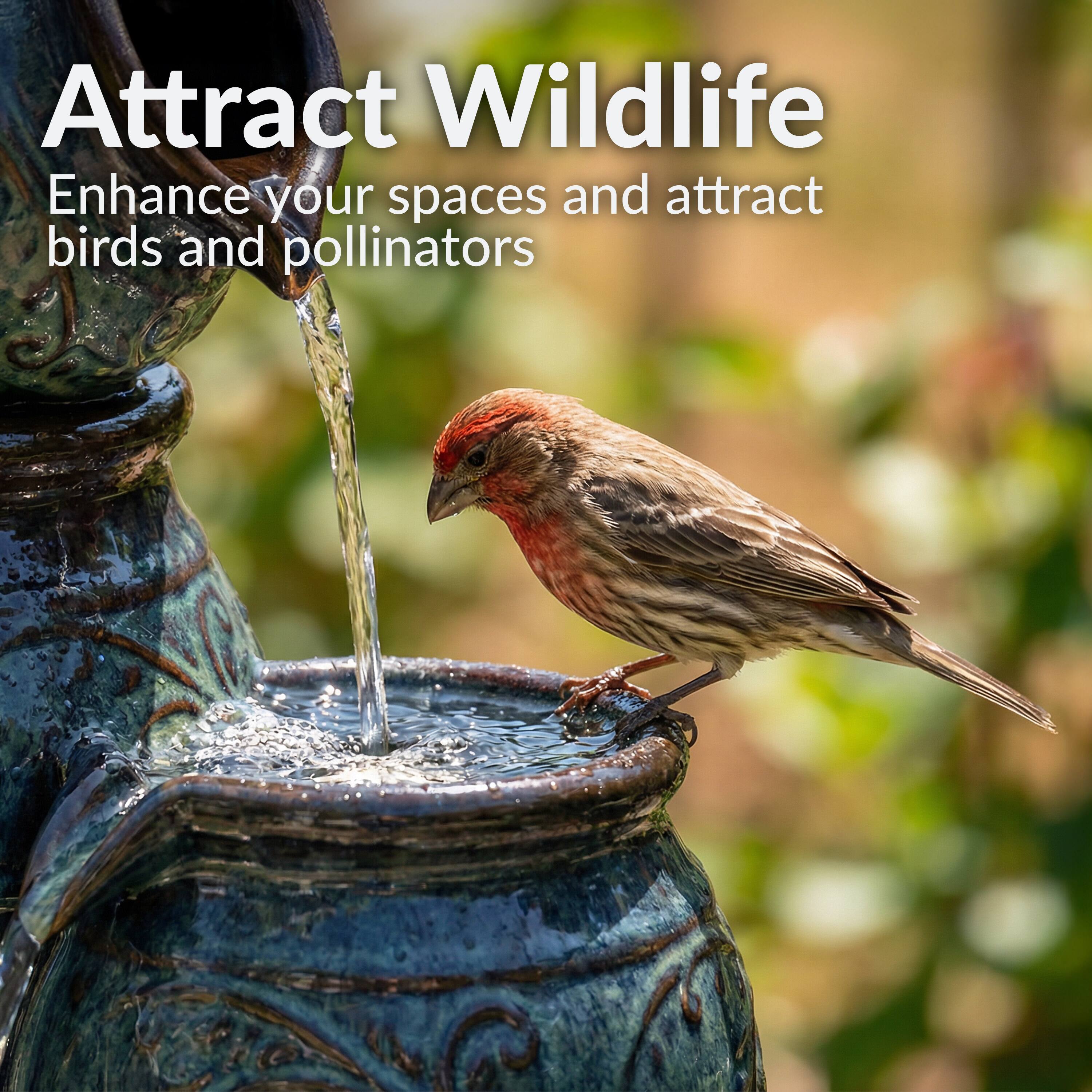 Attract Wildlife  
Enhance your spaces and attract birds and pollinators
