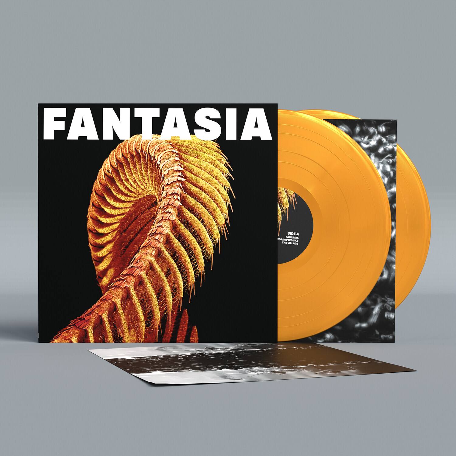 FANTASIA

SIDE A
CORAL REEFS
THE WILLAGES