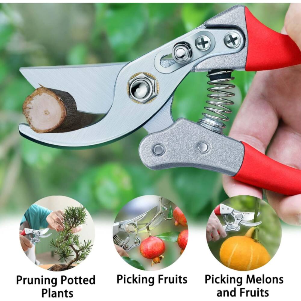 Pruning Potted Plants, Picking Fruits, Picking Melons and Fruits