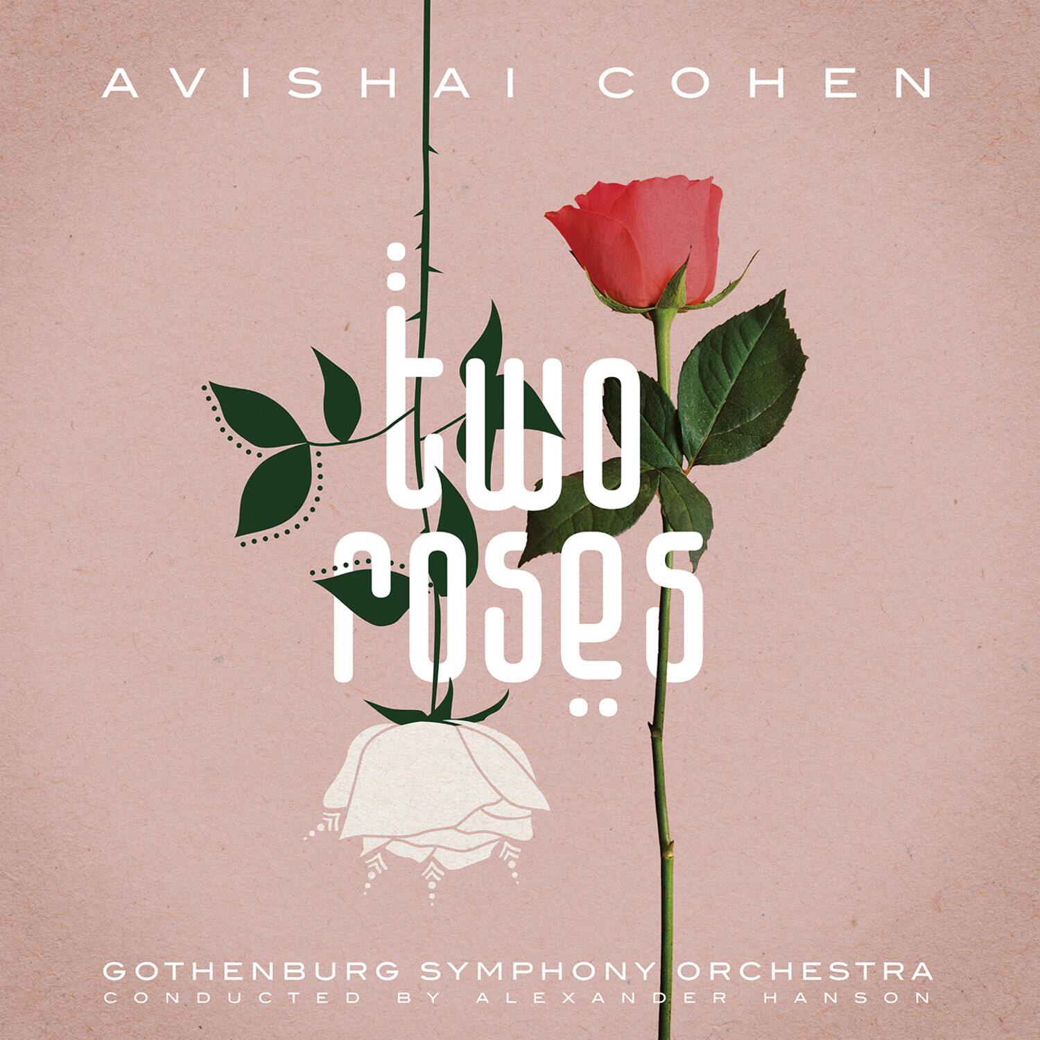 AVISHAI COHEN  
two roses  
GOTHENBURG SYMPHONY ORCHESTRA  
CONDUCTED BY ALEXANDER HANSON