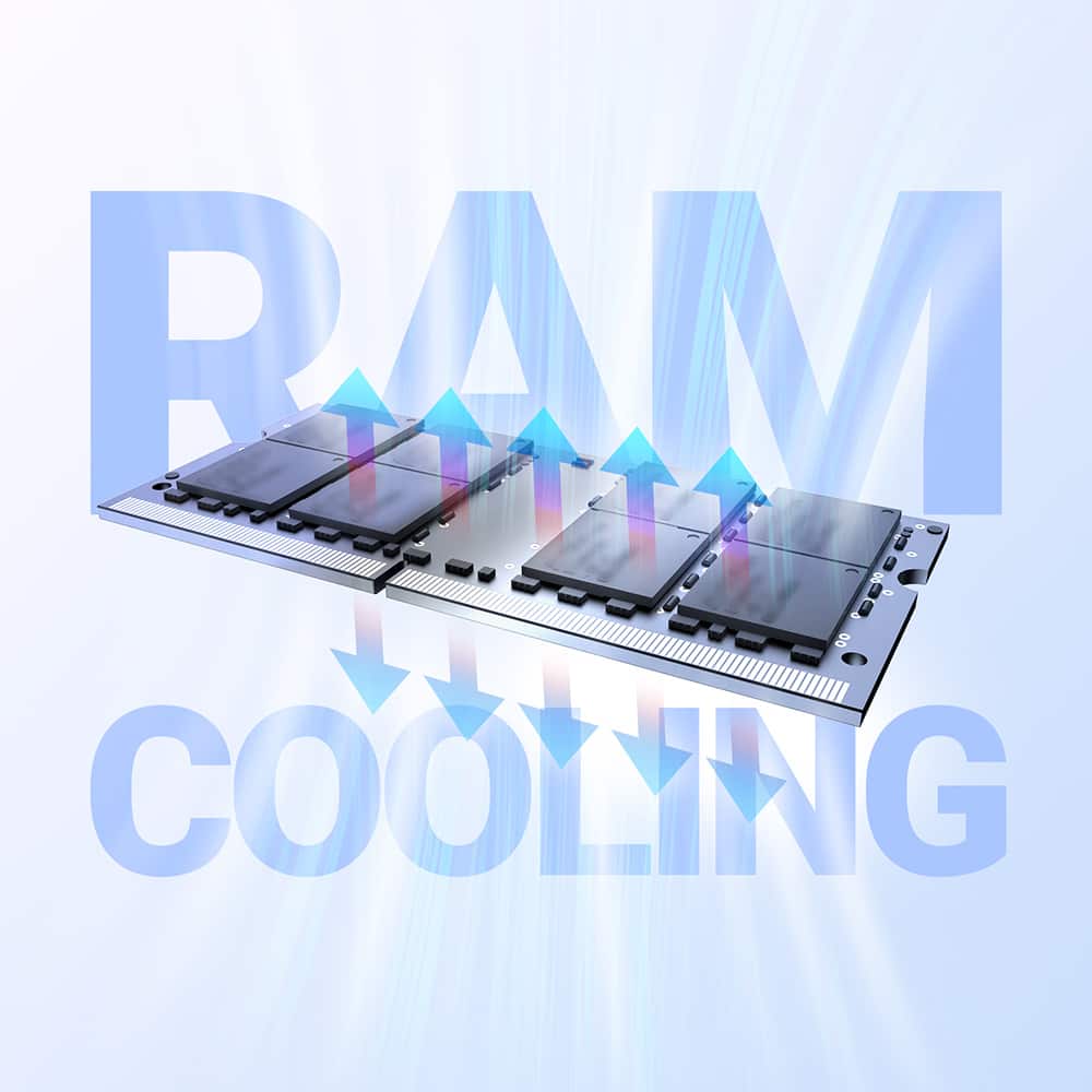RAM COOLING DANA 00