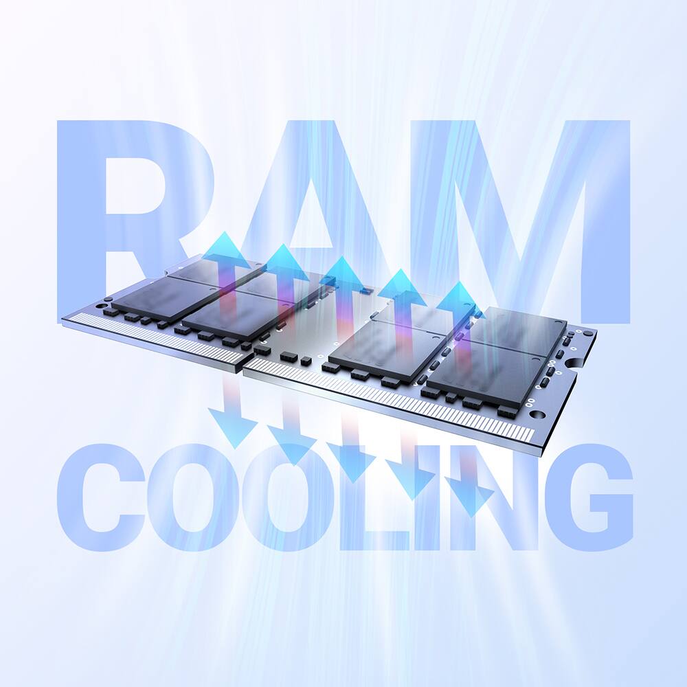 RAM COOLING DANA 00