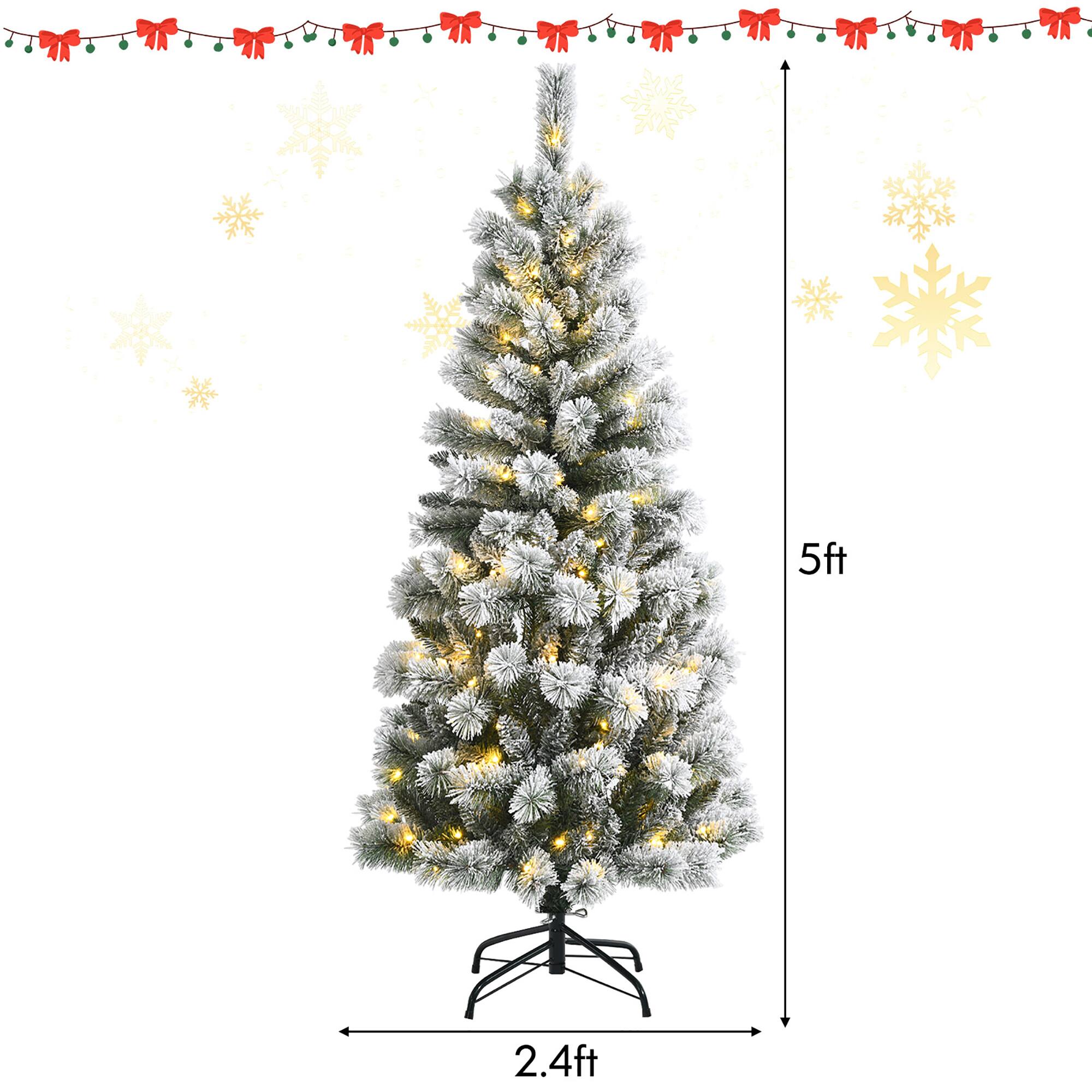 The text on the image reads "5ft 2.4ft" which means the tree is 5 feet tall and 2.4 feet wide.