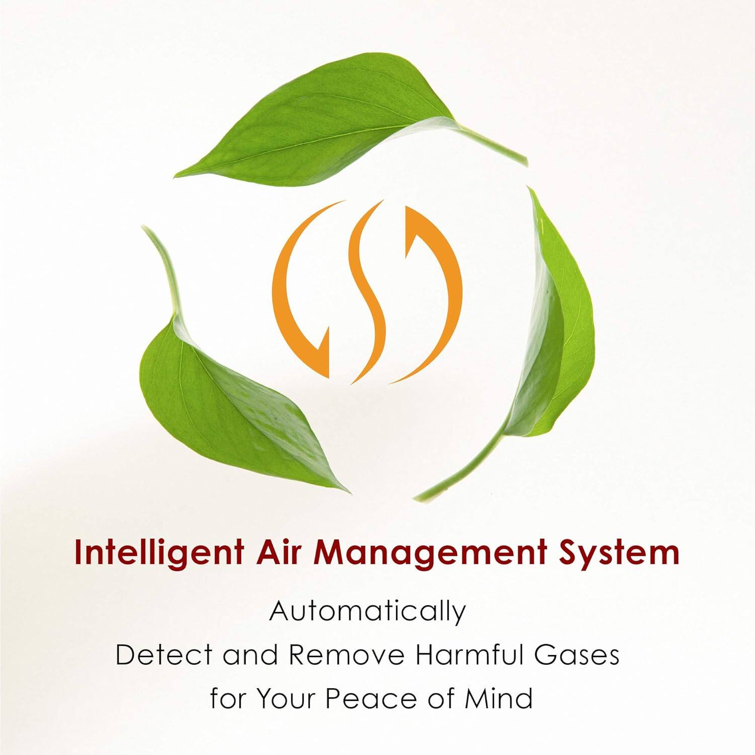 Intelligent Air Management System
Automatically Detect and Remove Harmful Gases for Your Peace of Mind