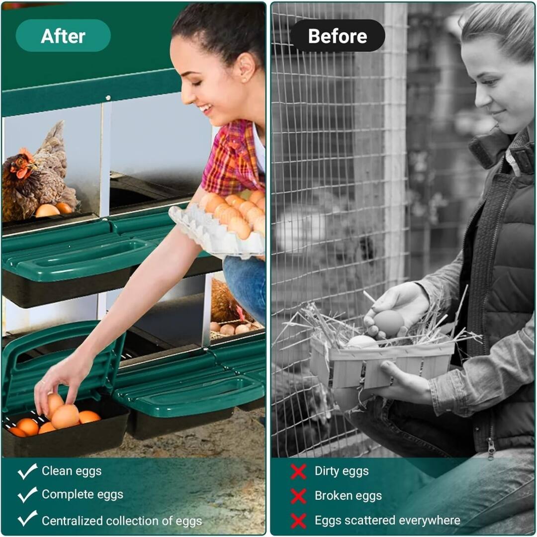 After  
- Clean eggs  
- Complete eggs  
- Centralized collection of eggs  

Before  
- Dirty eggs  
- Broken eggs  
- Eggs scattered everywhere