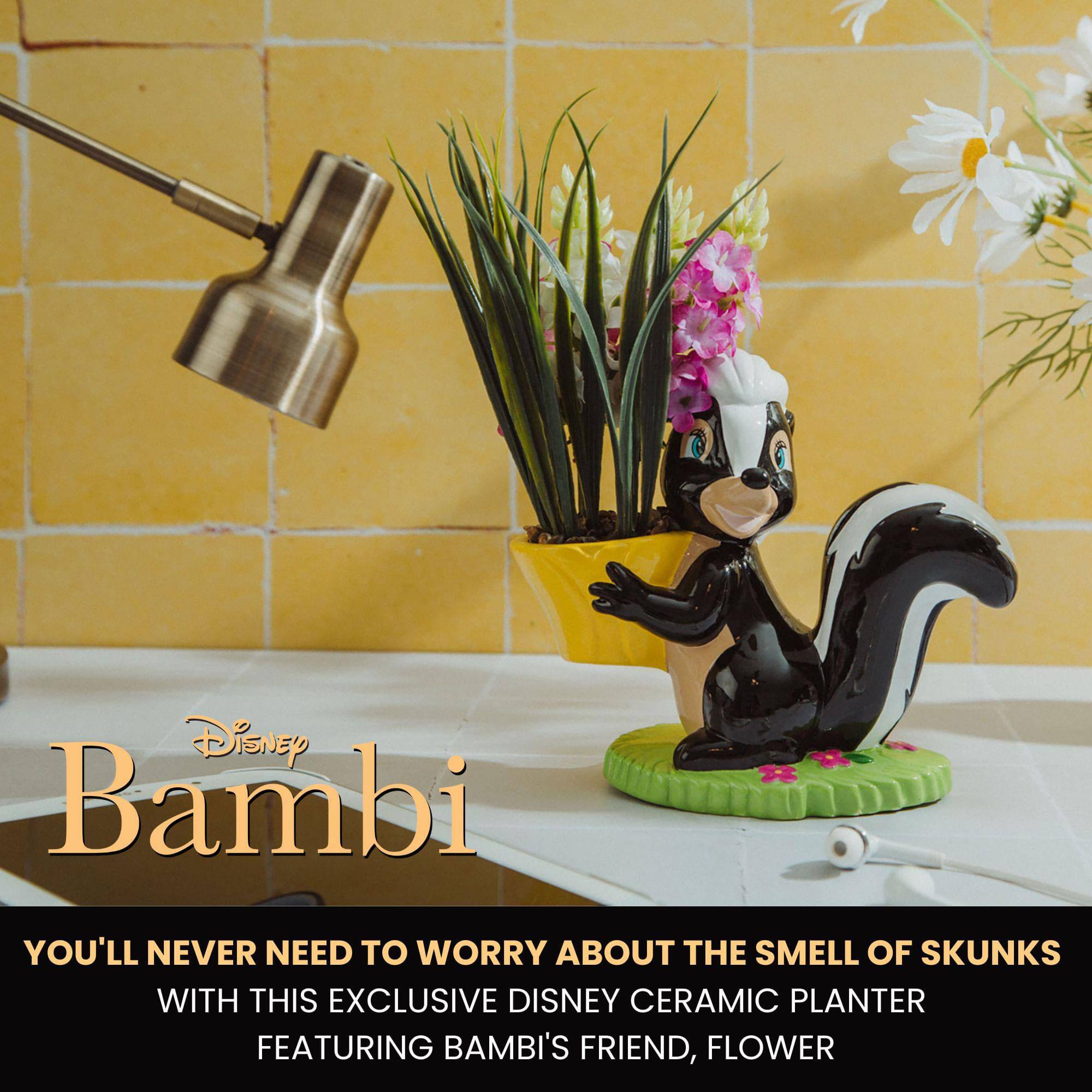 Disney Bambi

You'll never need to worry about the smell of skunks with this exclusive Disney ceramic planter featuring Bambi's friend, Flower.