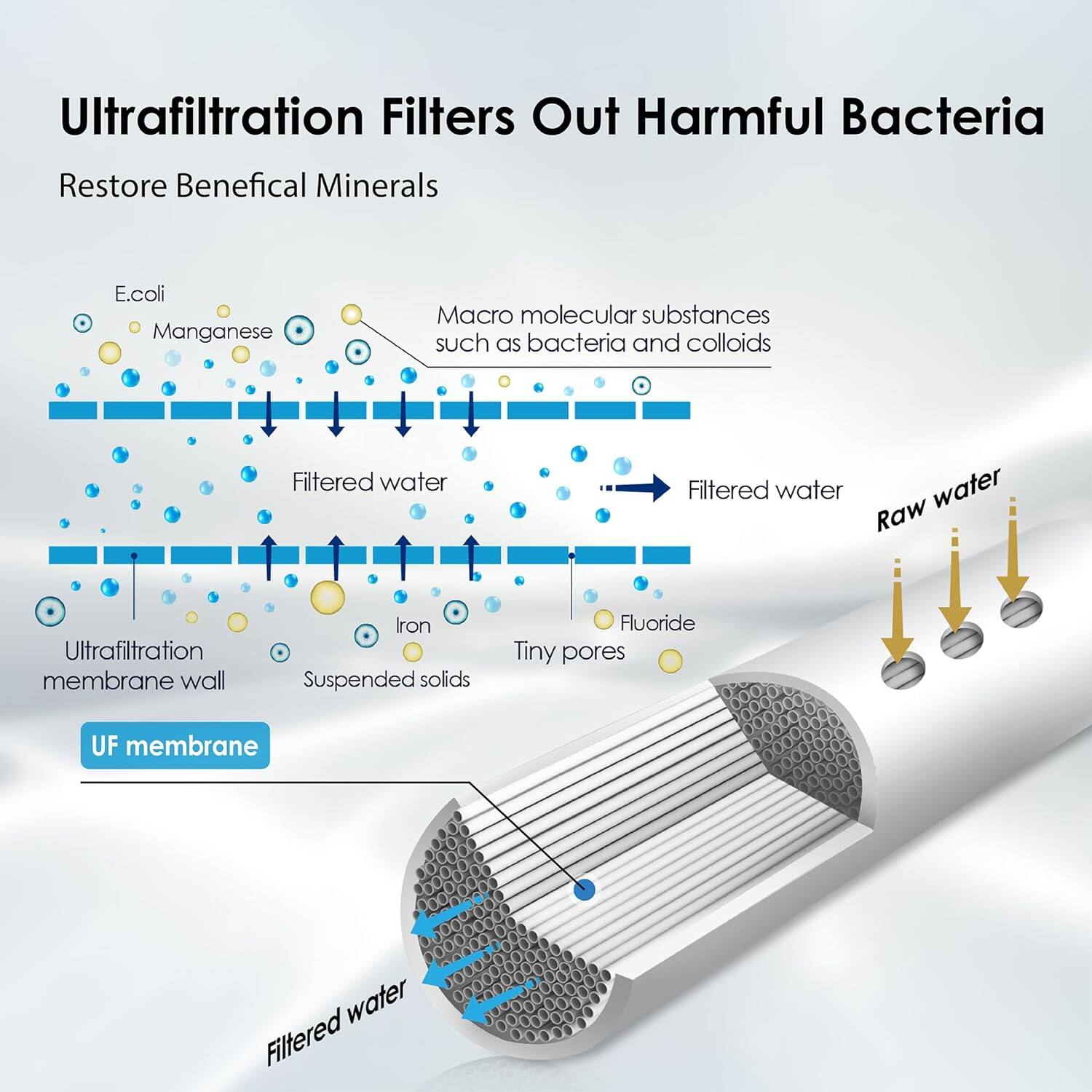 Ultrafiltration Filters Out Harmful Bacteria
Restore Beneficial Minerals
E.coli
Manganese
Macro molecular substances such as bacteria and colloids
Filtered water
Filtered water
Raw
Ultrafiltration membrane wall
Iron
Suspended solids
Fluoride
Tiny pores
UF membrane
water
Filtered