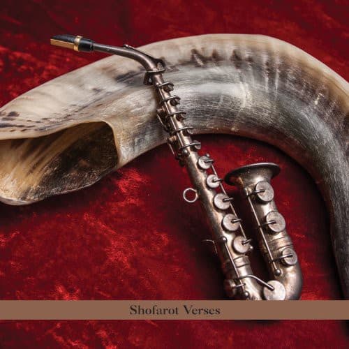 Paul Shapiro - Shofarot Verses   - COMPACT DISCS [CD] price history on PriceWatchPro