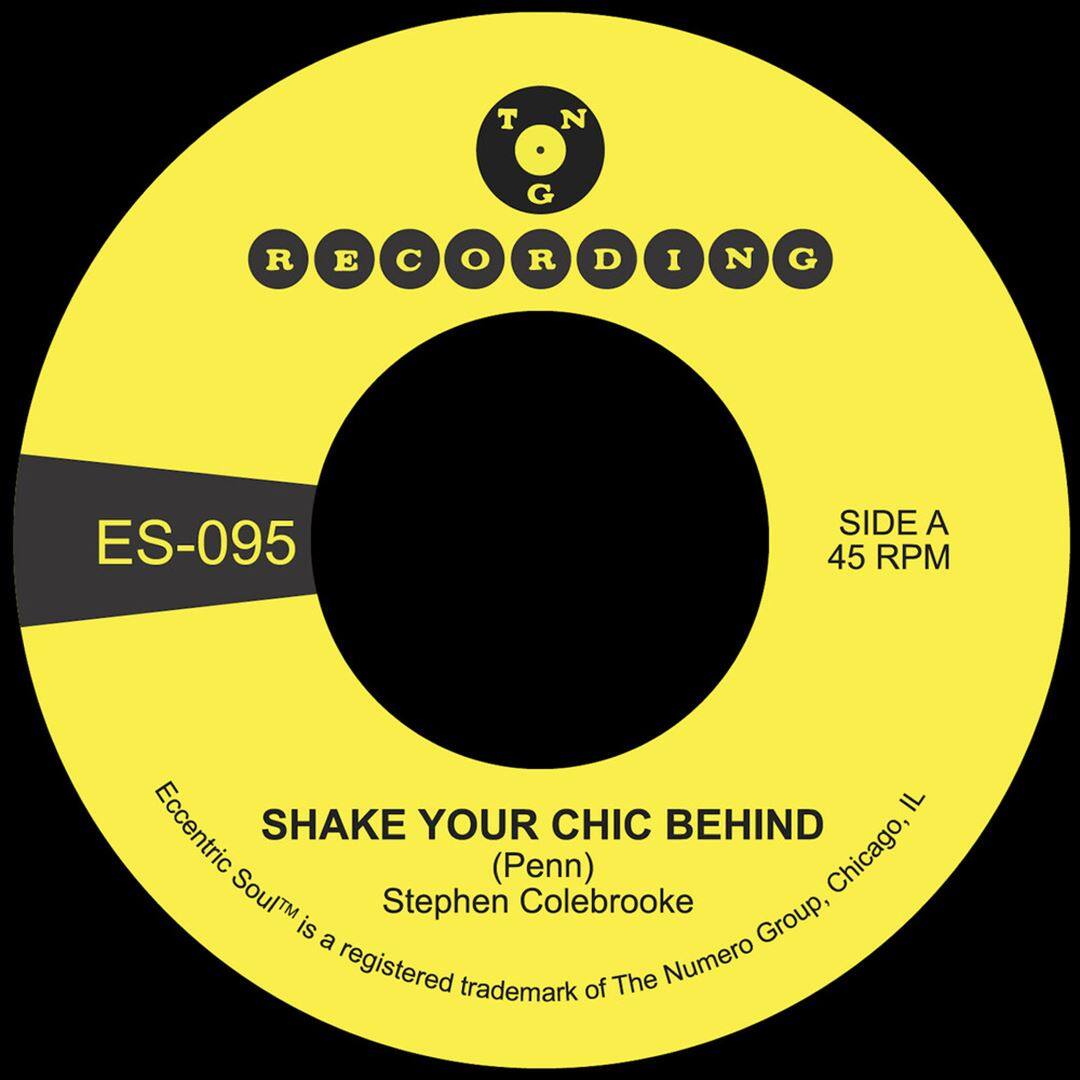 Shake Your Chic Behind b/w Stay Away From Music [7 inch Vinyl Disc] price history on PriceWatchPro