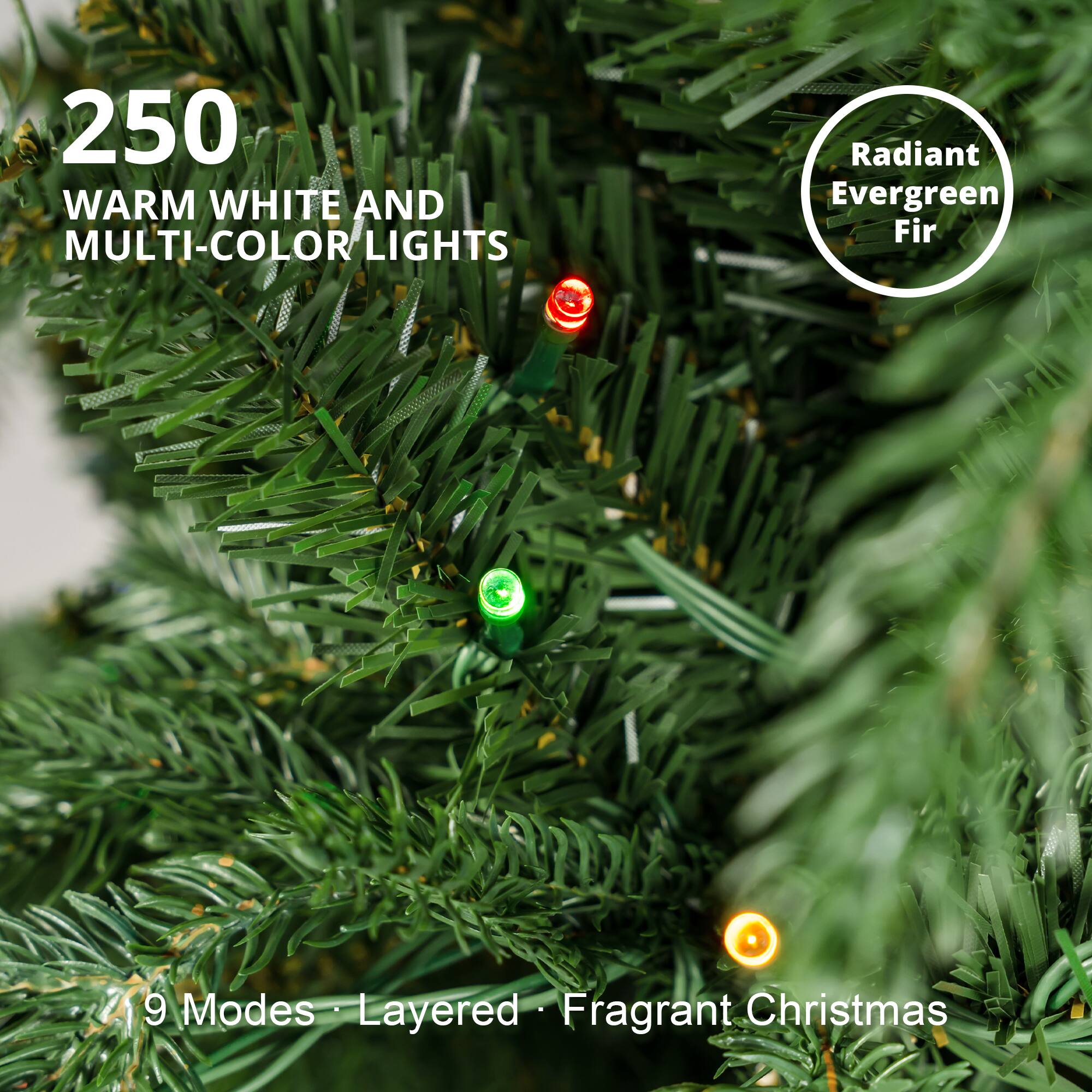 250 WARM WHITE AND MULTI-COLOR LIGHTS

Radiant Evergreen Fir

9 Modes Layered Fragrant Christmas