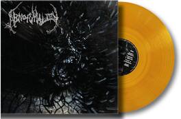 Abnormality - Mechanisms Of Omniscience - 3mm Spinned Sleeve - VINYL LP