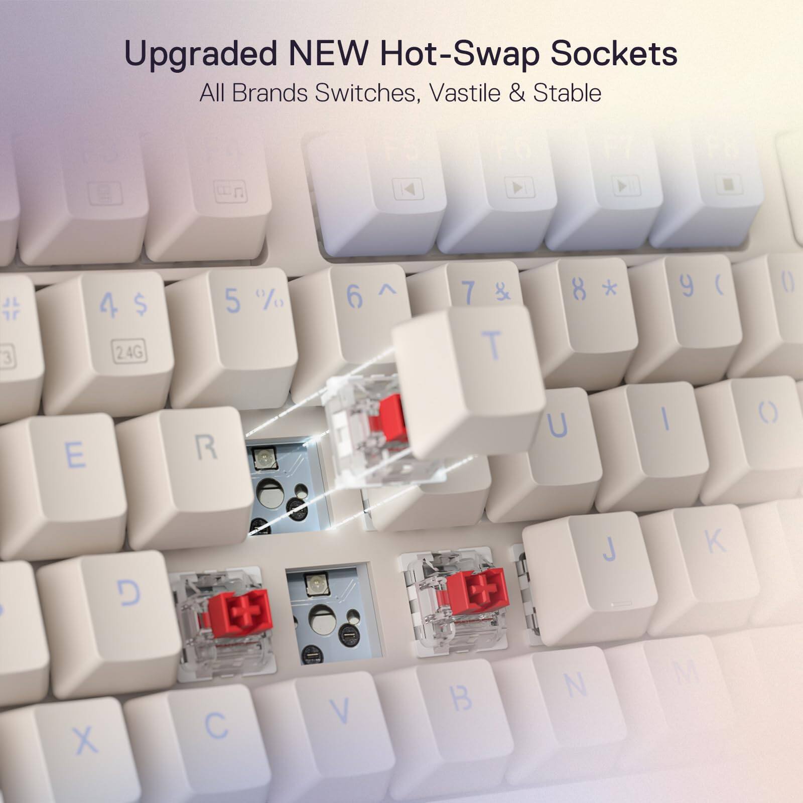 Upgraded NEW Hot-Swap Sockets  
All Brands Switches, Vastile & Stable