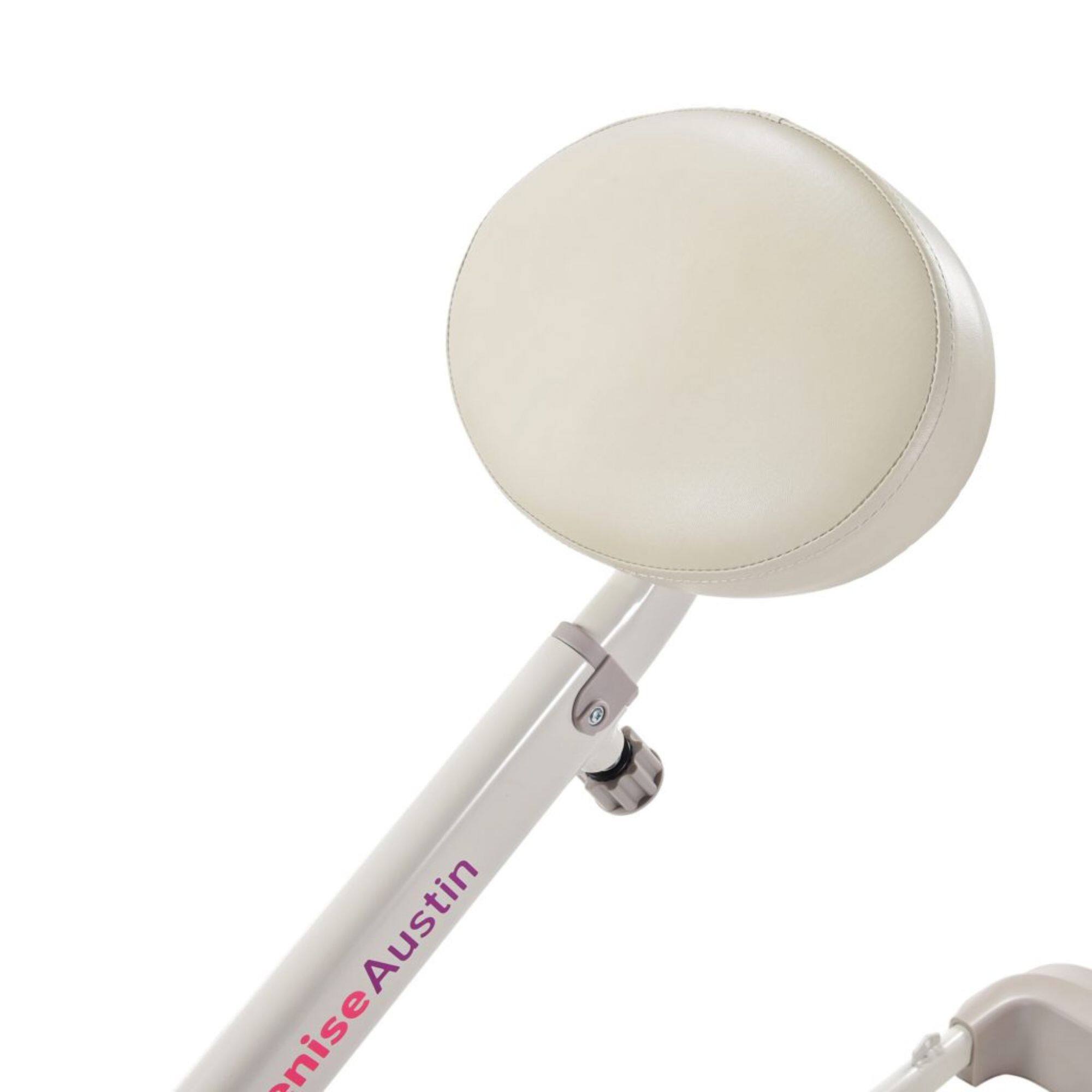 The text on the image reads: "Annise Austin"