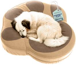 Katziela - Paw Shaped Pet Bed - Coconut Brown
