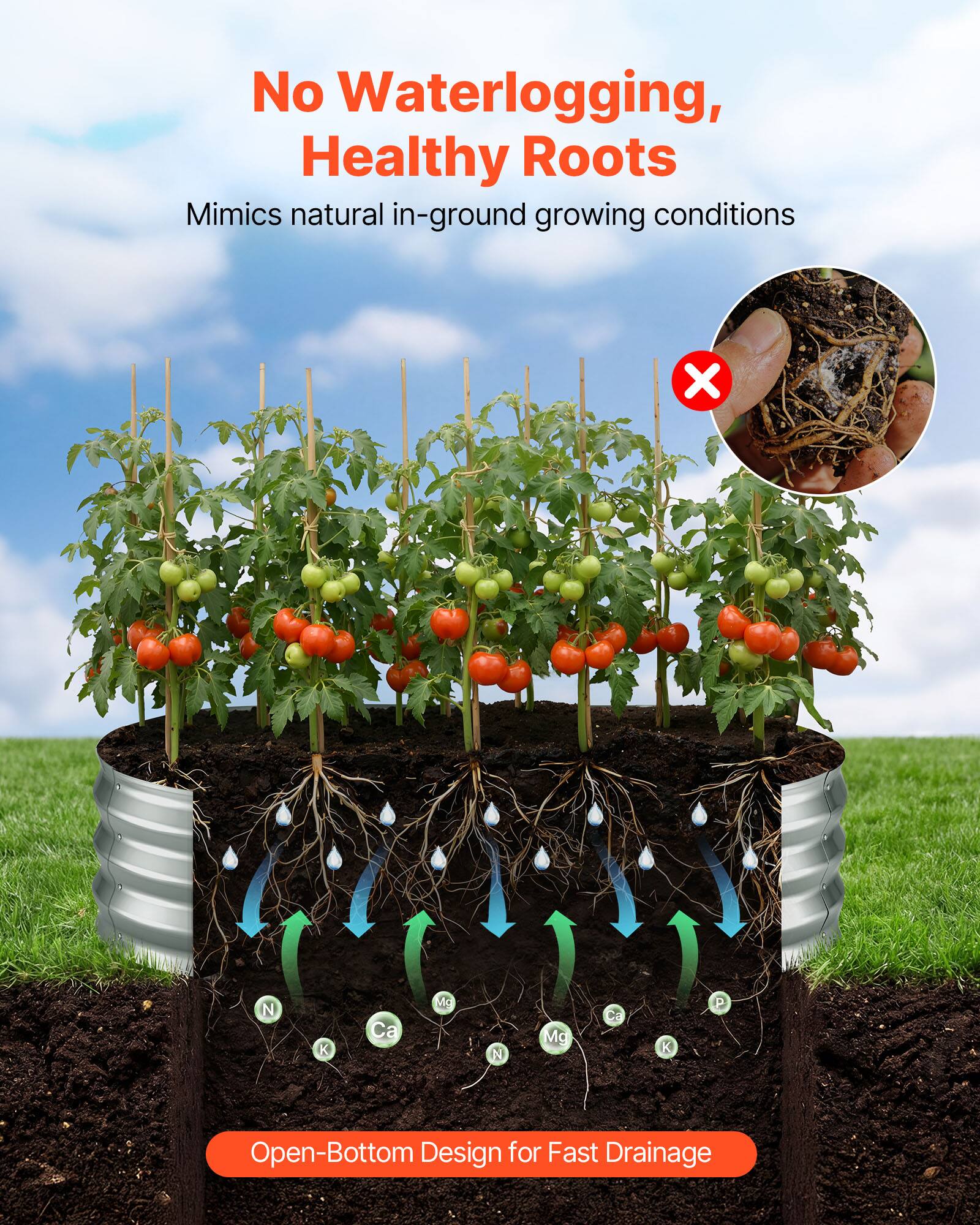 No Waterlogging, Healthy Roots  
Mimics natural in-ground growing conditions  

Open-Bottom Design for Fast Drainage