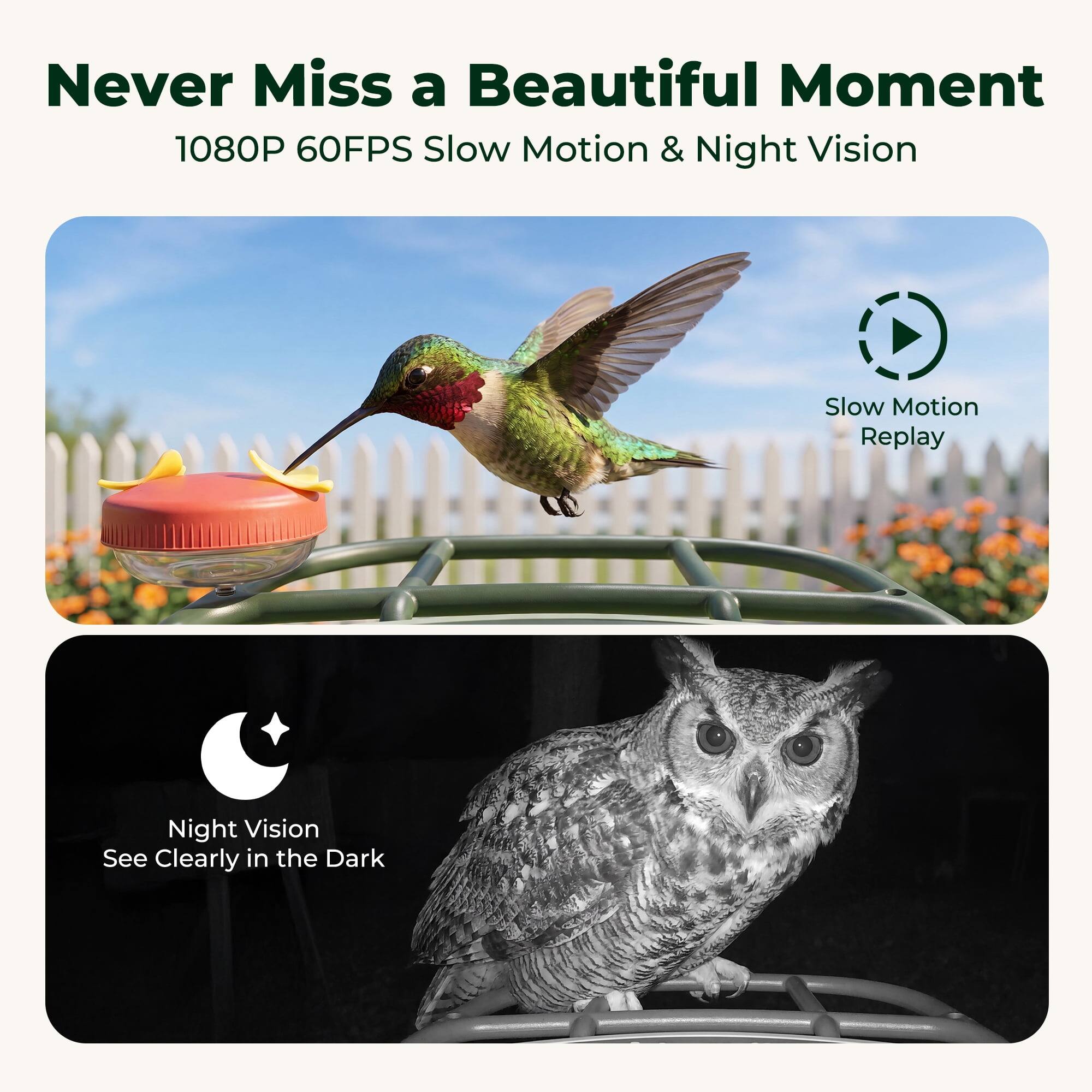 Never Miss a Beautiful Moment  
1080P 60FPS Slow Motion & Night Vision  

Slow Motion Replay  

Night Vision  
See Clearly in the Dark
