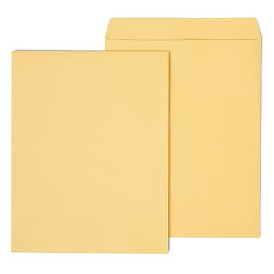 Staples - Open End Kraft Catalog Envelopes, 14"L x 18"H, 25/Pack - Brown