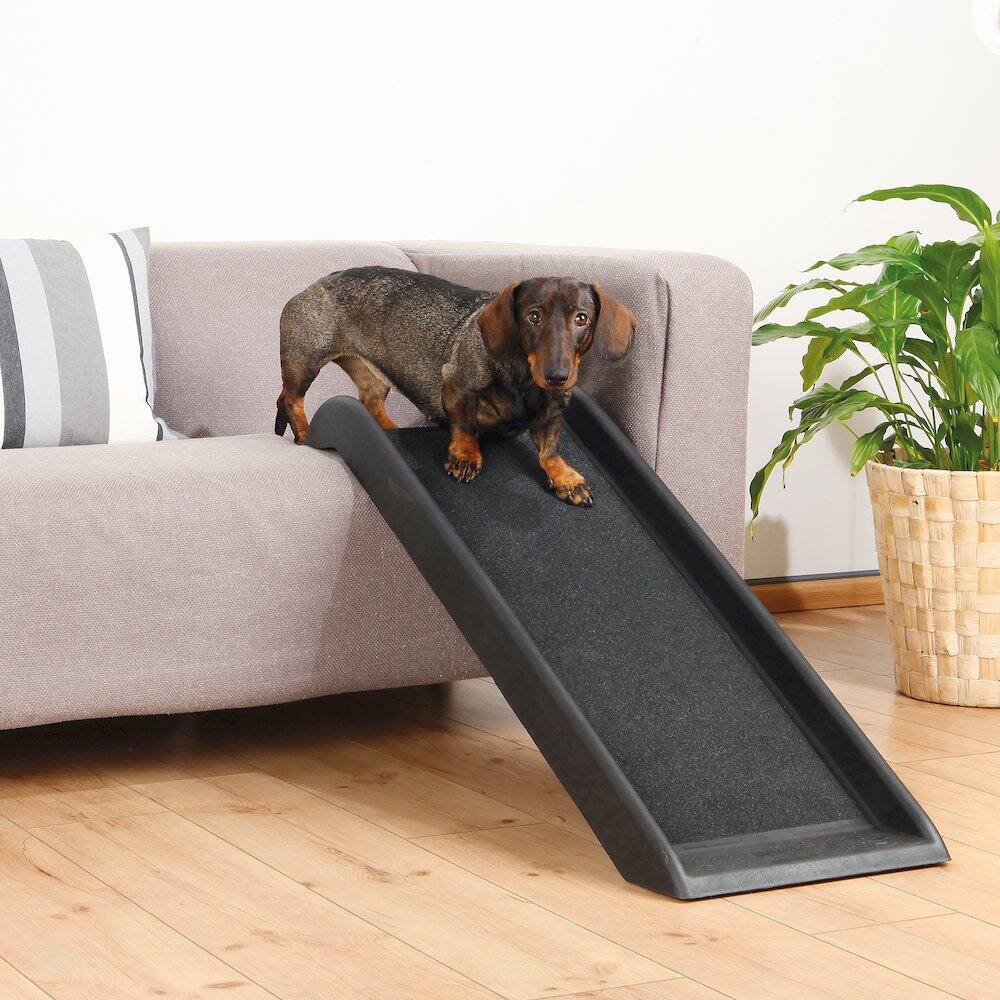 Angle. TRIXIE - 39.5" Small Pet Ramp for Dogs and Cats, Great for Small Cars and Furniture - Black.