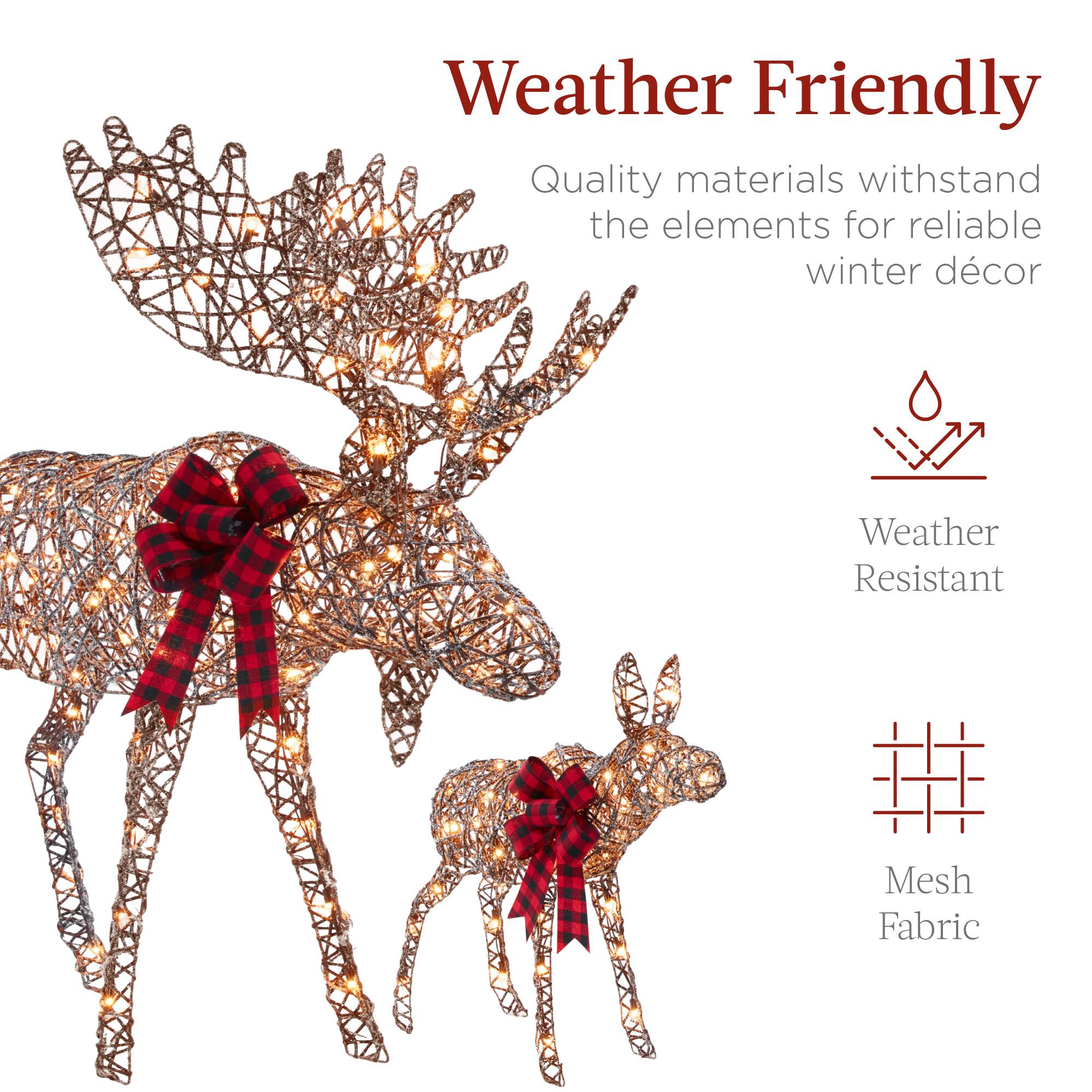 Weather Friendly

Quality materials withstand the elements for reliable winter décor

Weather Resistant

Mesh Fabric
