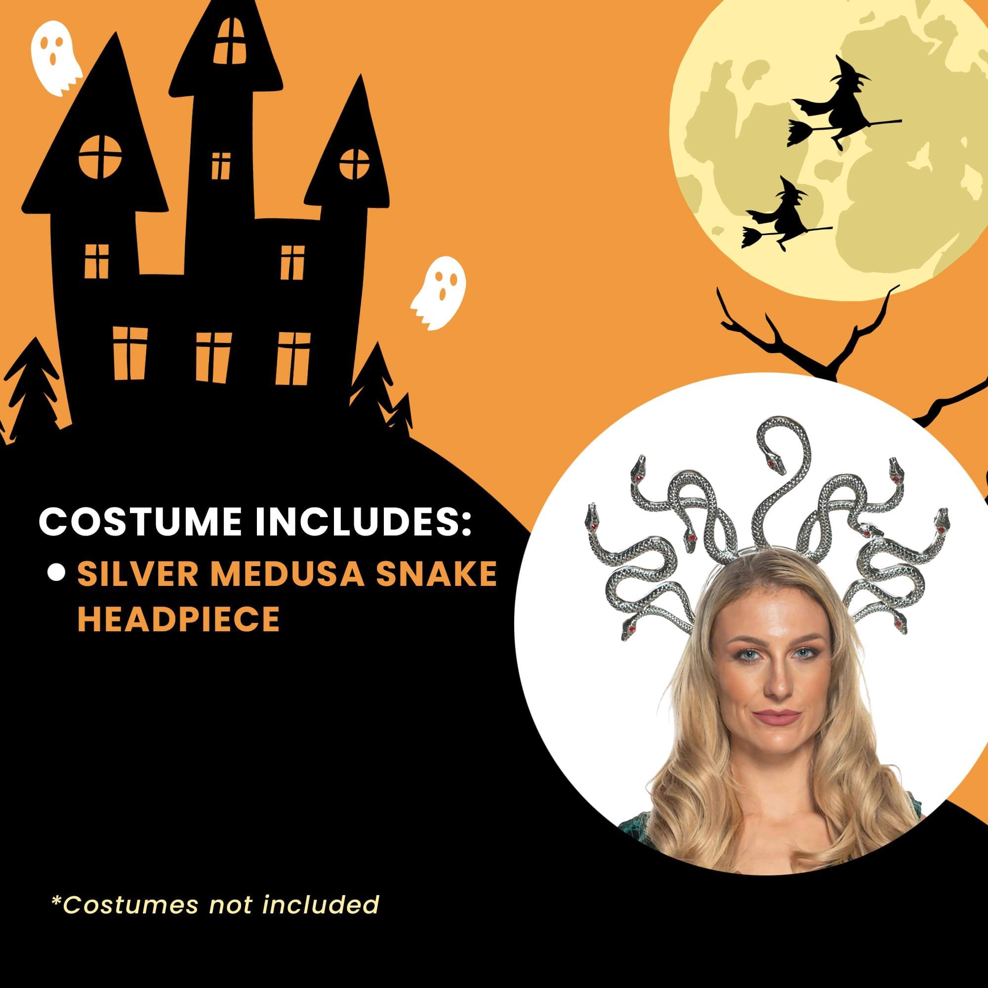 COSTUME INCLUDES:  
• SILVER MEDUSA SNAKE HEADPIECE  

*Costumes not included