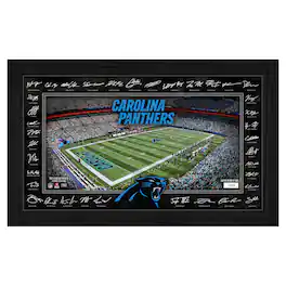 Highland Mint - Carolina Panthers 12" x 20" 2025 Signature Gridiron Panoramic Framed Photo - Multicolor