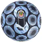 CLUB DEPORTIVO GUADALAJARA
CLUB DEPORTIVO GUADALAJARA