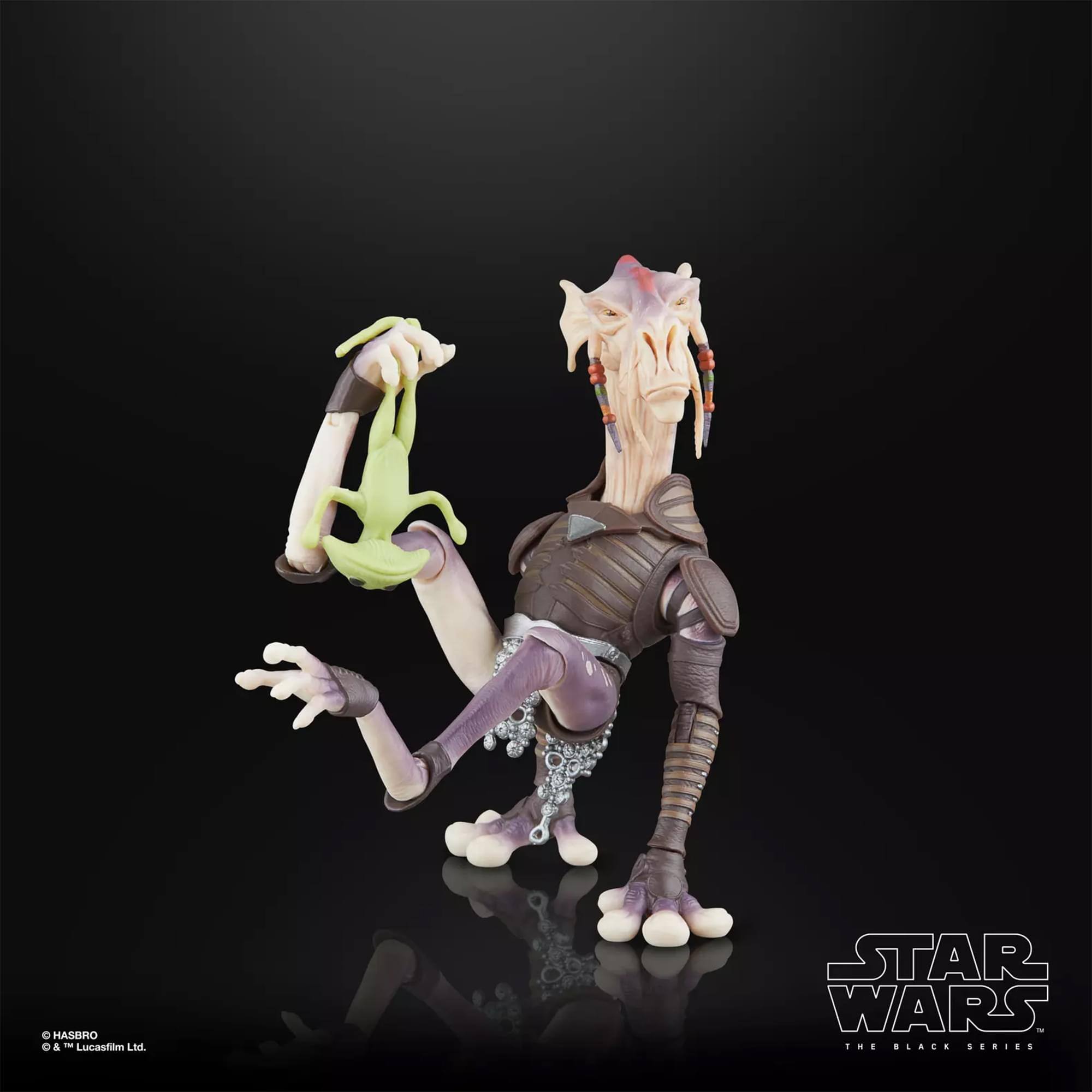 HASBRO & Lucasfilm Ltd.  
STAR WARS - THE BLACK SERIES