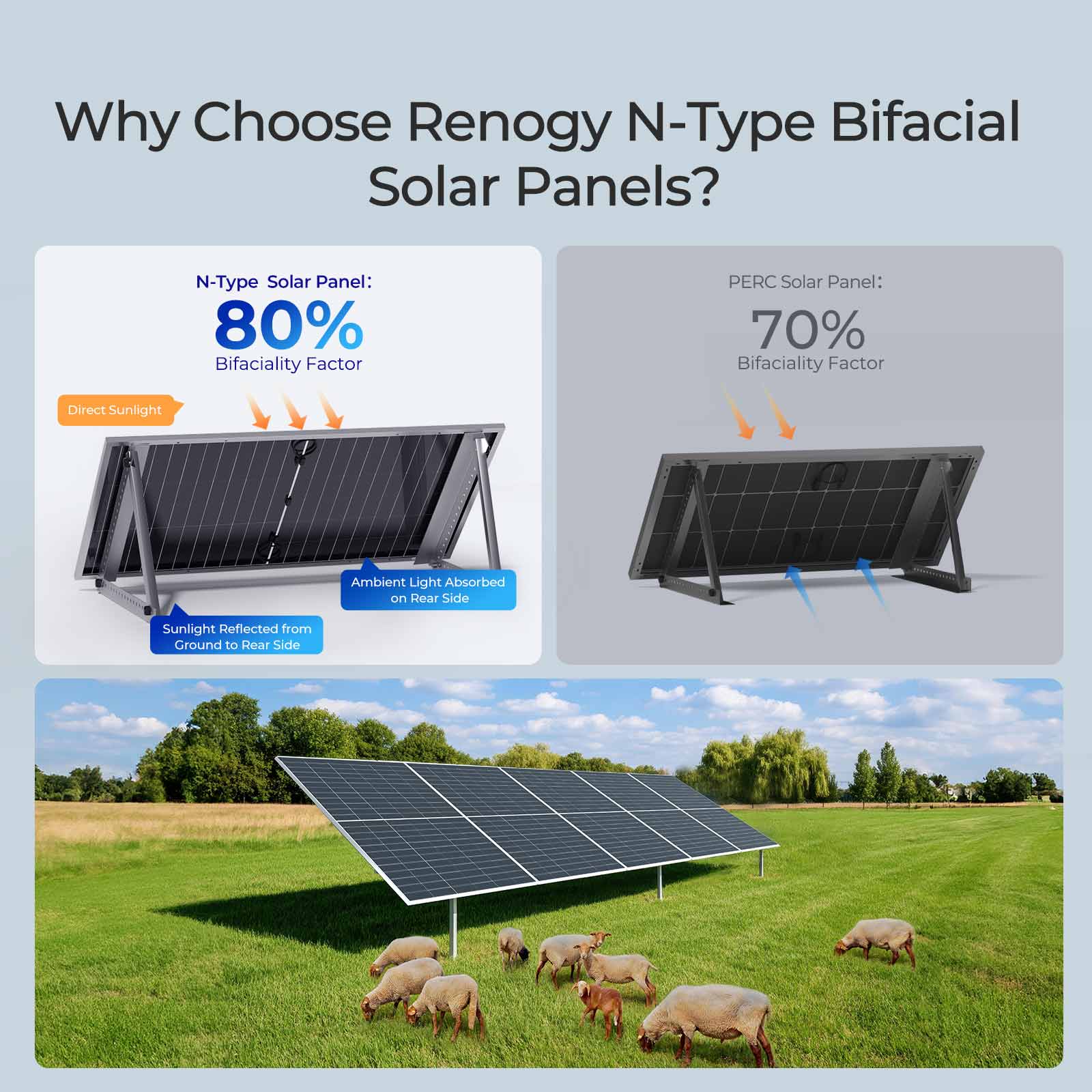 Why Choose Renogy N-Type Bifacial Solar Panels?

N-Type Solar Panel: 80% Bifaciality Factor
PERC Solar Panel: 70% Bifaciality Factor
Direct Sunlight
Ambient Light Absorbed on Rear Side
Sunlight Reflected from Ground to Rear Side