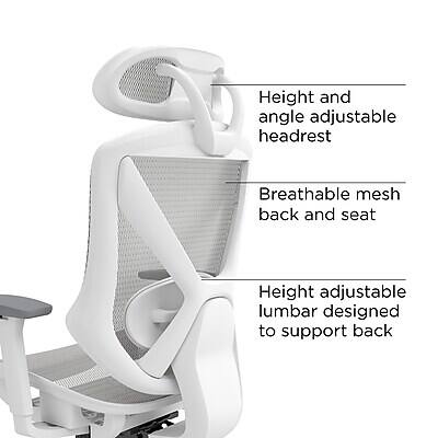 Height and angle adjustable headrest  
Breathable mesh back and seat  
Height adjustable lumbar designed to support back