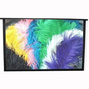 Alt View Standard 20. Draper - Piper Portable Projection Screen.