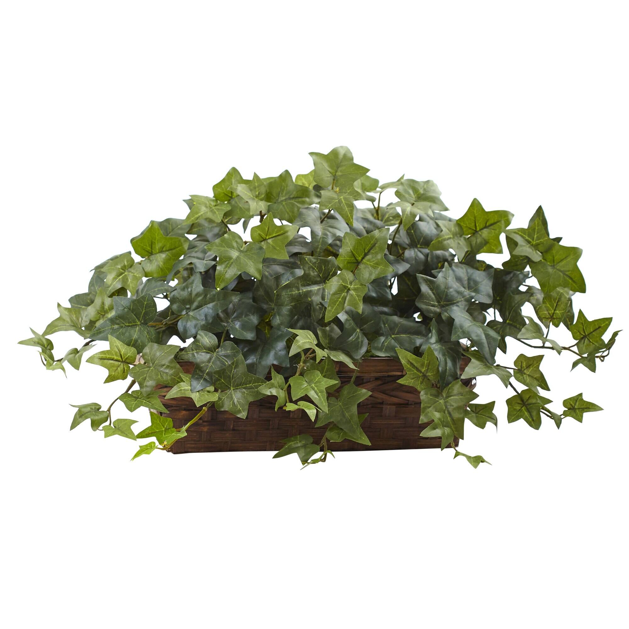 Front. BreeBe - 12.5" Puff Ivy w/Ledge Basket - Green.