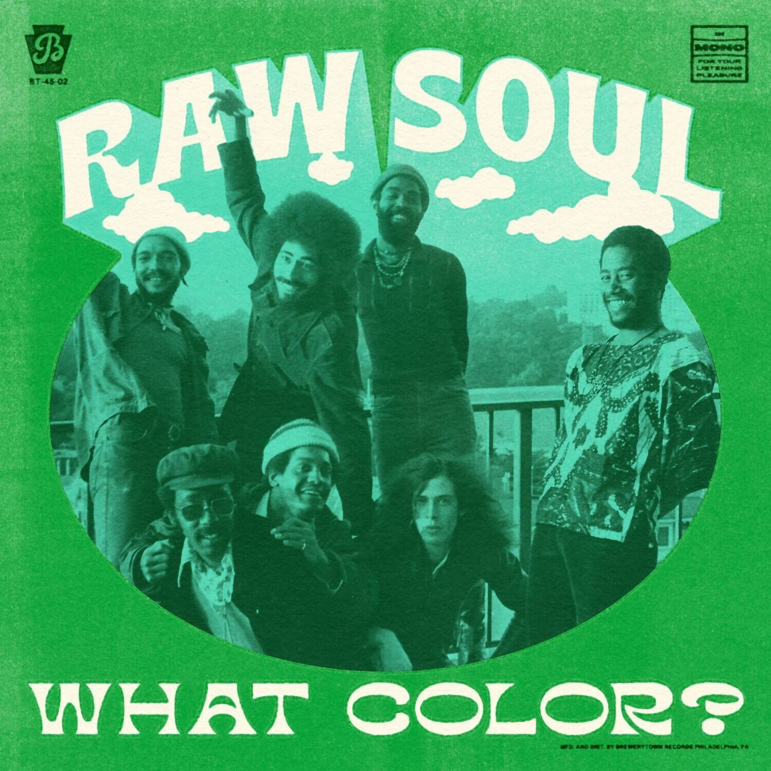 RAW SOUL  
WHAT COLOR?  

B MONO FL TOL NTENINO nARU BT-45-02 RAW SOUL WHAT COLOR?  

B  
BT-45-02  

MONO  
LISTENING PLEASURE