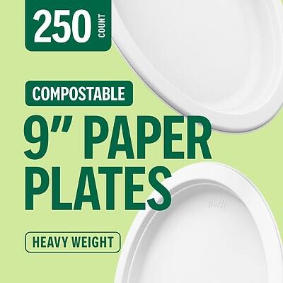 250 COUNT COMPOSTABLE 9" PAPER PLATES  
HEAVY WEIGHT