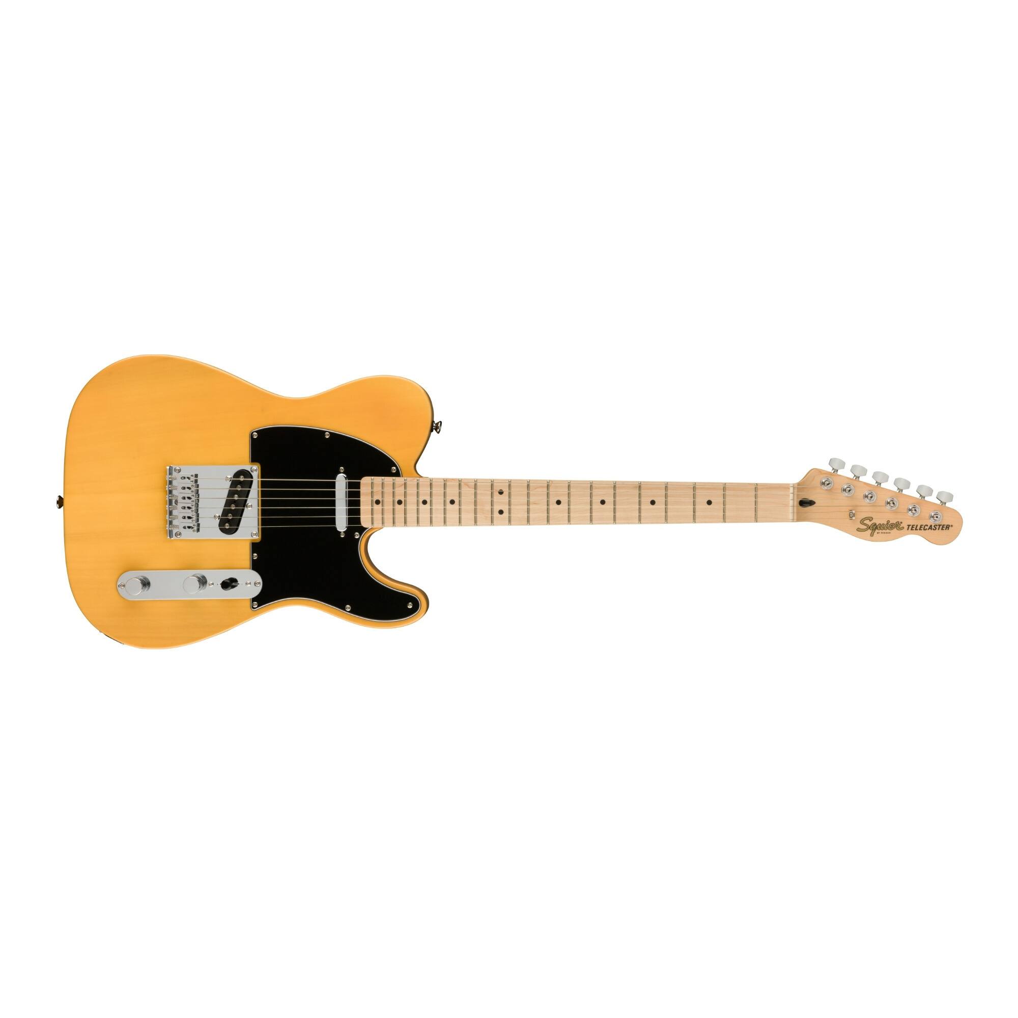 L - 49 & Squire TELECASTER