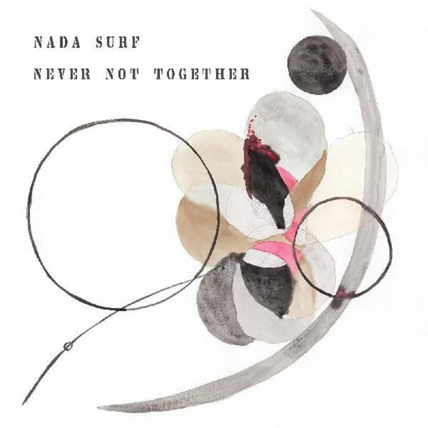 Nada Surf - Never Not Together   - VINYL LP price history on PriceWatchPro