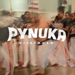 Pynuka - N.i.t.s.t.w.d.s.w. - VINYL LP