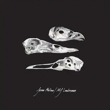 Jason Molina / M. Lenderman