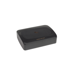 MINI BASSLINK S 0.35X