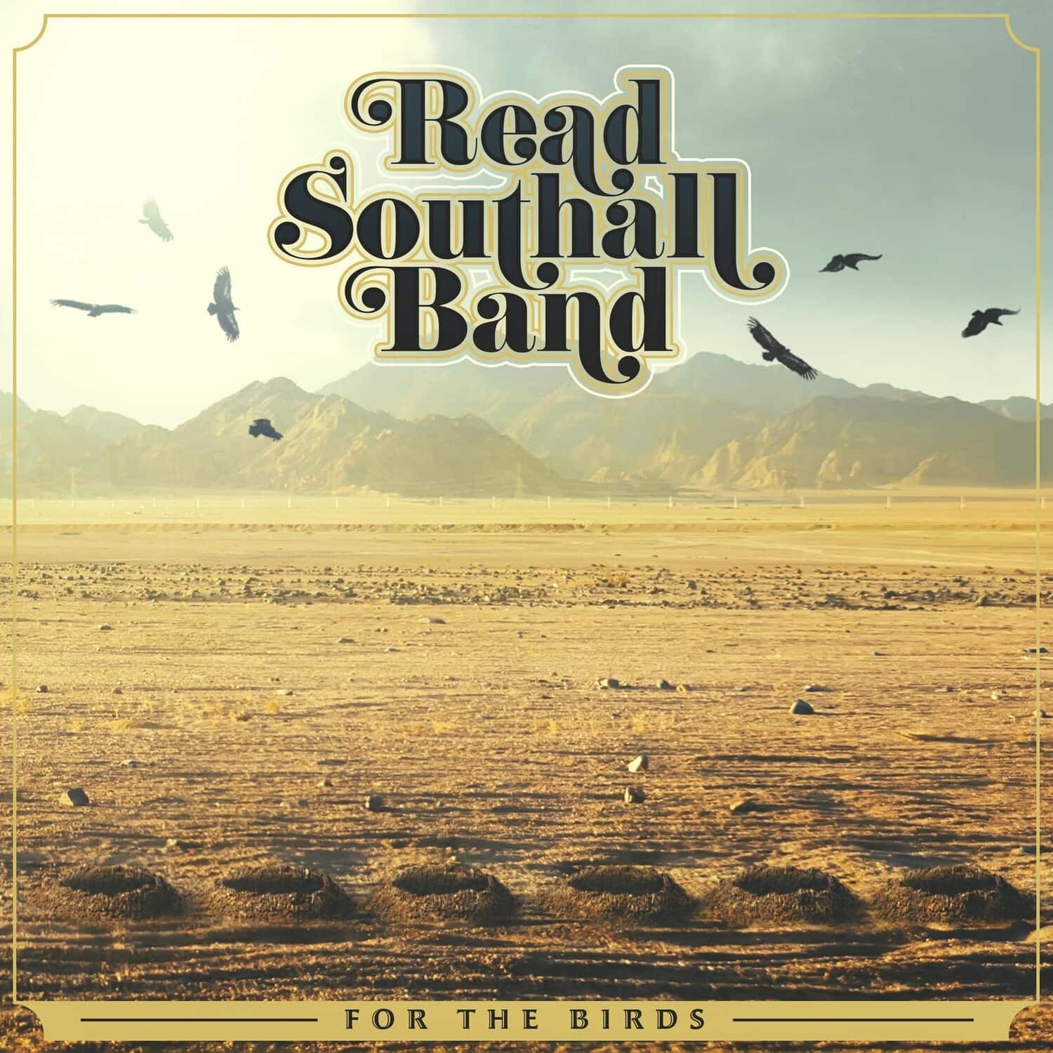 Read Southall Band - For The Birds   - COMPACT DISCS [CD]