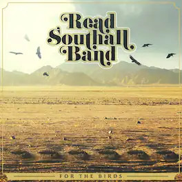 Read Southall Band - For The Birds - VINYL LP
