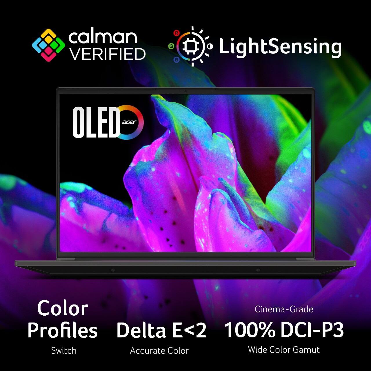 Calman Verified OLED Color Cinema-Grade Profiles Delta E<2 100% DCI-P3 Switch Accurate Color Wide Color Gamut